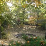 Autumn 01