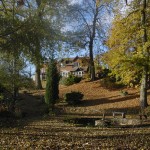 Autumn 02