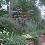 B & B sign