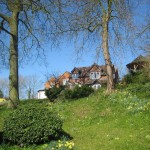 Spring Gdn 01